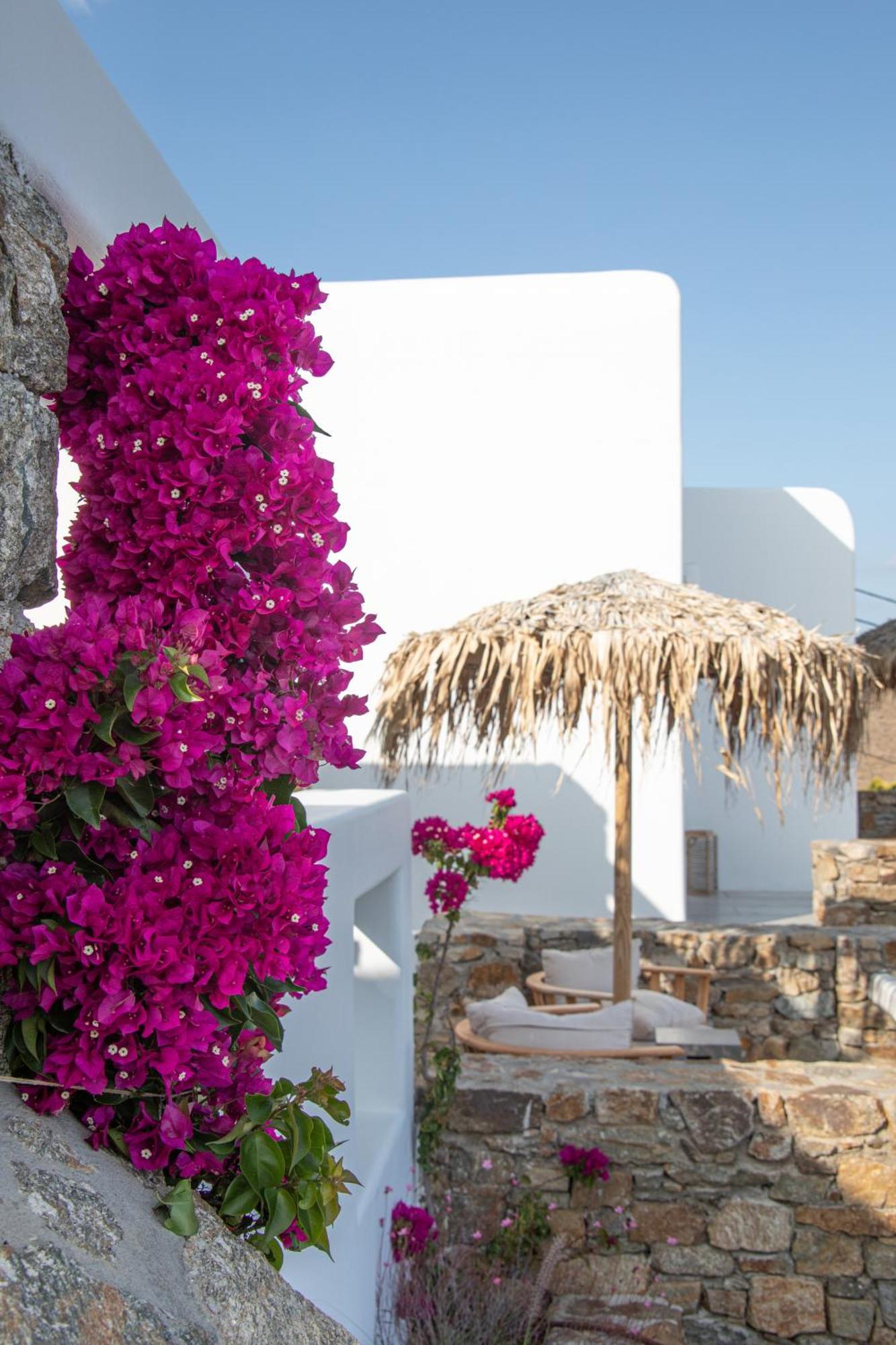 칼로 리바디 The Summit Of Mykonos B&B 외부 사진