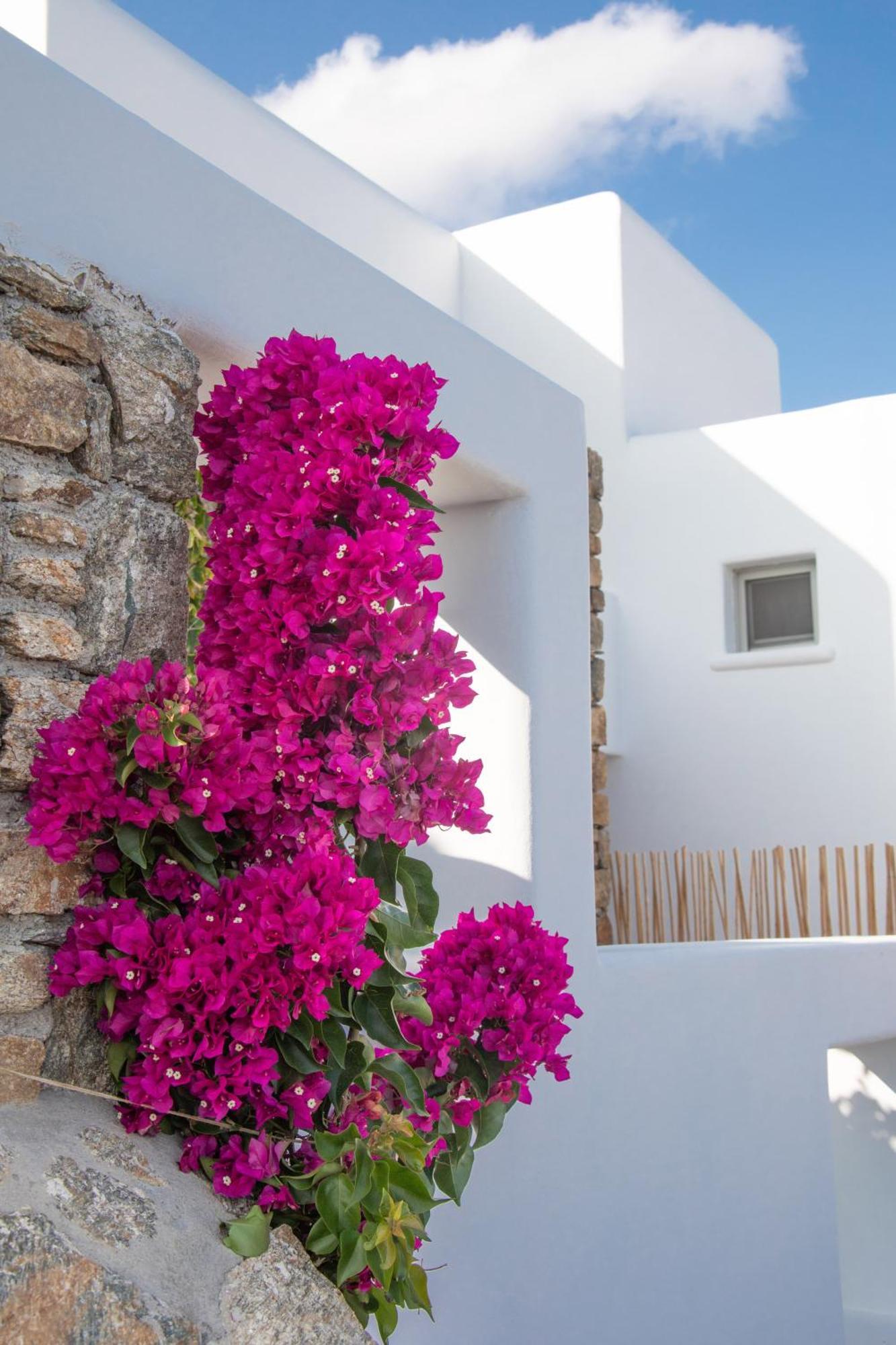 칼로 리바디 The Summit Of Mykonos B&B 외부 사진
